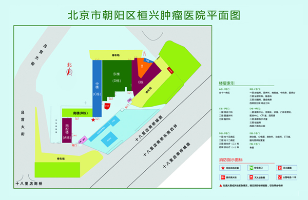 大干校花视频一区三区北京市朝阳区桓兴肿瘤医院平面图